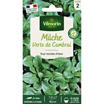 Graines Mâche Verte de Cambrai - VILMORIN