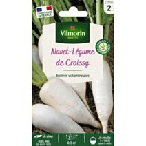 Graines Navet Légume Demi Long de Croissy - VILMORIN