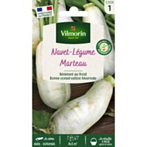 Graines Navet Légume des Vertus Marteau - VILMORIN