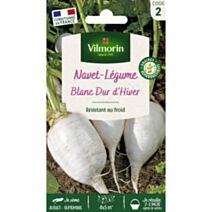 Graines Navet Légume Blanc Dur d'Hiver - VILMORIN