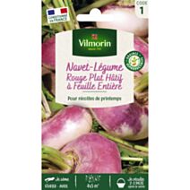 Graines Navet Légume Rouge Plat Hâtif à Feuille Entière - VILMORIN