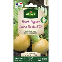 Graines Navet Légume Jaune Boule d'Or - VILMORIN
