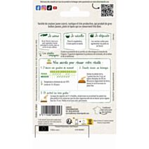 Graines Oignon Jaune Paille des Vertus - VILMORIN