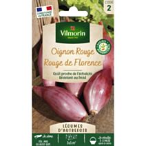 Graines Oignon Rossa Di Firenze - VILMORIN