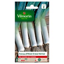 Graines Poireau d'Hiver 2 Race Vernor - VILMORIN