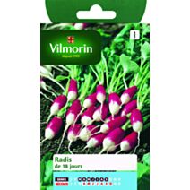 Graines Radis de 18 Jours - VILMORIN