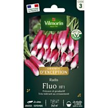 Radis Fluo HF1