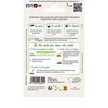 Graines Roquette Cultivée - VILMORIN