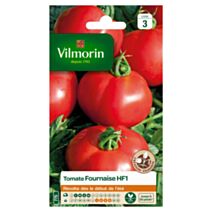Graines Tomate Fournaise HF1 - VILMORIN