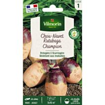 Graines Rutabaga Champion à Collet Rouge - VILMORIN