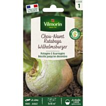 Graines Rutabaga Wilhelmsburger à Collet Vert - VILMORIN