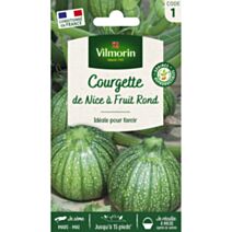 Graines Courgette de Nice à Fruit Rond - VILMORIN