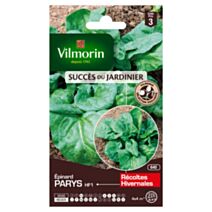 Graines Epinard Parys HF1 - VILMORIN