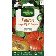 Graines Potiron Rouge Vif d'Etampes - VILMORIN