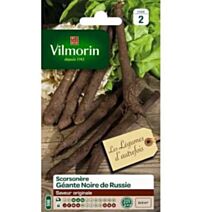 Graines Scorsonère Géante Noire de Russie - VILMORIN