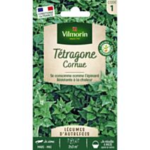 Graines Tétragone Cornue - VILMORIN