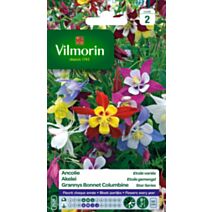 Graines Ancolie Étoile Variée - VILMORIN