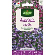 Graines Aubriétia Variée - VILMORIN