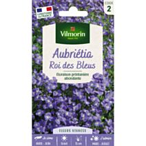 Graines Aubriétia Roi des Bleus - VILMORIN