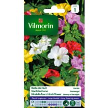 Graines Belle de Nuit Variée - VILMORIN