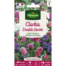 Graines Clarkia Variée - VILMORIN