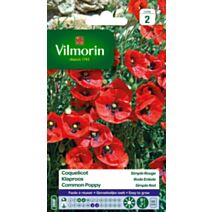 Graines Coquelicot Simple Rouge - VILMORIN