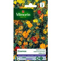 Graines Cosmos Sulphureus Varié - VILMORIN
