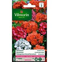 Graines Géranium Cricket Varié - VILMORIN