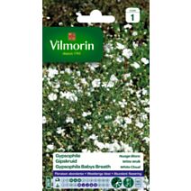 Graines Gypsophile Nuage Blanc - VILMORIN