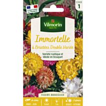 Graines Immortelle à Bractées Double Variée - VILMORIN