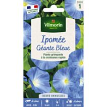 Graines Ipomée Volubilis Géante Bleue - VILMORIN