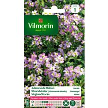 Graines Julienne de Mahon Variée - VILMORIN