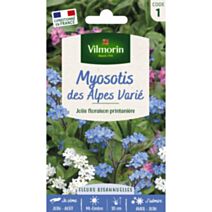Graines Myosotis des Alpes Varié - VILMORIN