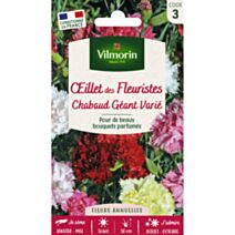Graines Œillet Chabaud Géant Varié - VILMORIN