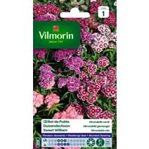 Graines Œillet de Poète Hirondelle Varié - VILMORIN