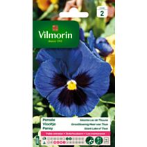 Graines Pensée Géante Lac de Thoune - VILMORIN