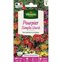 Graines Pourpier Simple Varié - VILMORIN