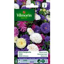Graines Reine Marguerite Beauté Variée - VILMORIN