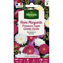 Graines Reine Marguerite Princesse Super Géante Variée - VILMORIN