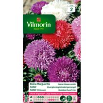 Graines Reine Marguerite Naine Déesse Variée - VILMORIN