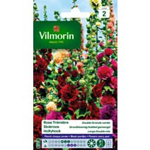 Graines Rose Trémière Double Grande Variée - VILMORIN