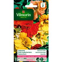 Graines Capucine Diamant Variée - VILMORIN