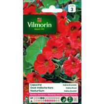 Graines Capucine Valina Écarlate - VILMORIN