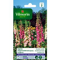 Graines Digitale Excelsior Variée - VILMORIN
