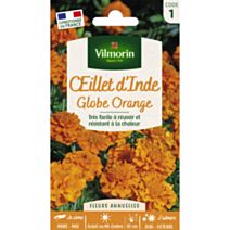 Graines Œillet d'Inde Globe Orange - VILMORIN