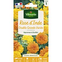 Graines Rose d'Inde Double Grande Variée - VILMORIN