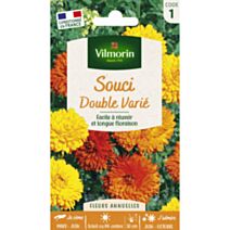 Graines Souci Double Varié - VILMORIN