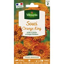 Graines Souci Orange King - VILMORIN