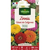 Graines Zinnia Géant de Californie - VILMORIN