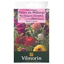 Graines Mélange de Fleurs Bouquets Champêtres 4m² - VILMORIN